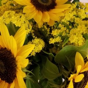 Meet your Posher, Lori